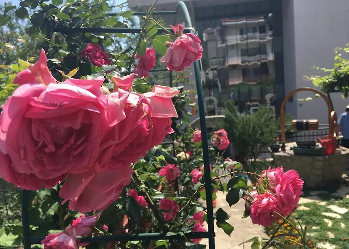 Apartments Milena